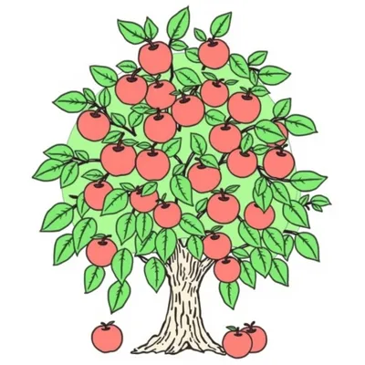 דף צביעה עץ תפוחים מלא להדפסה
