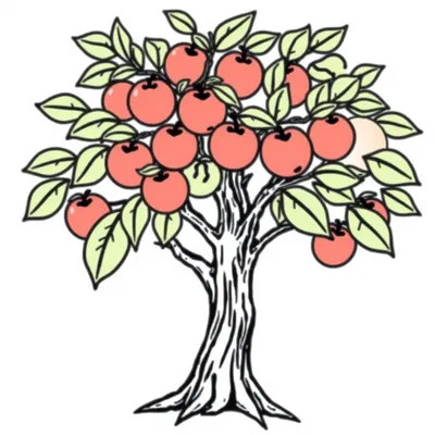 דף צביעה עץ תפוח להדפסה