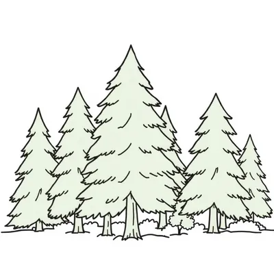 דף צביעה יער ירוק להדפסה